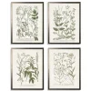 Kirkland's Home Framed Art-Greenery On Cream Back Framed Art Prints, Set Of 4