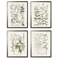 Kirkland's Home Framed Art-Greenery On Cream Back Framed Art Prints, Set Of 4