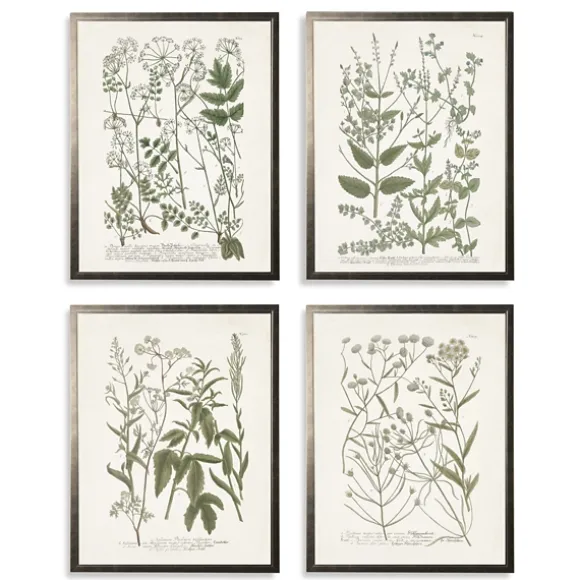 Kirkland's Home Framed Art-Greenery On Cream Back Framed Art Prints, Set Of 4