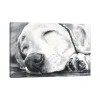 Kirkland's Home Canvas Art-Happy Dreams Dog Giclee Canvas Art Print, 40X26