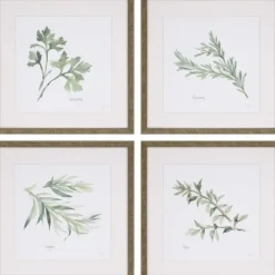 Kirkland's Home Framed Art-Herbs 4-Pc. Gold Framed Art Print Set