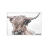 Kirkland's Home Framed Art-Highland Cow Framed Art Print