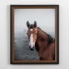 Kirkland's Home Framed Art-Highland Horse Framed Art Print