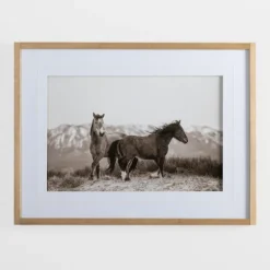 Kirkland's Home Framed Art-Horse Friends Framed Art Print