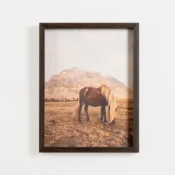 Kirkland's Home Framed Art-Horse On Range Framed Art Print