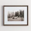 Kirkland's Home Framed Art-Horse Photography Framed Art Print