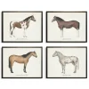 Kirkland's Home Framed Art-Horses Framed Art Prints, Set Of 4