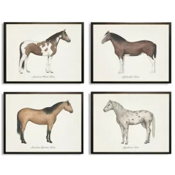 Kirkland's Home Framed Art-Horses Framed Art Prints, Set Of 4