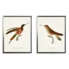 Kirkland's Home Framed Art-Hummingbirds I Framed Art Prints, Set Of 2