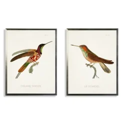 Kirkland's Home Framed Art-Hummingbirds I Framed Art Prints, Set Of 2
