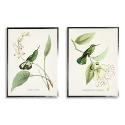 Kirkland's Home Framed Art-Hummingbirds On Flowers 2-Pc. Framed Art Print Set
