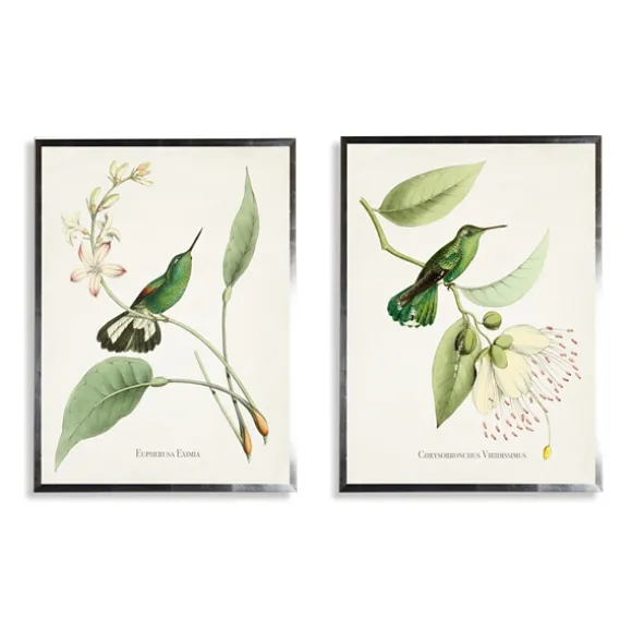 Kirkland's Home Framed Art-Hummingbirds On Flowers 2-Pc. Framed Art Print Set