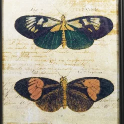 Kirkland's Home Framed Art-Literary Butterflies Framed Art Prints, Set Of 2