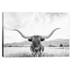 Kirkland's Home Canvas Art-Longhorn Giclee Canvas Art Print