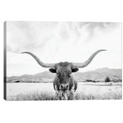 Kirkland's Home Canvas Art-Longhorn Giclee Canvas Art Print
