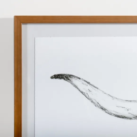 Kirkland's Home Framed Art-Longhorn Skull On Paper Framed Art Print