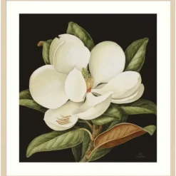Kirkland's Home Framed Art-Magnolia Grandflora Framed Art Print