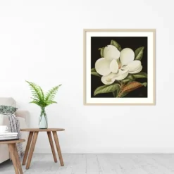 Kirkland's Home Framed Art-Magnolia Grandflora Framed Art Print