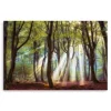 Kirkland's Home Canvas Art-Majestic Morning Giclee Canvas Art Print