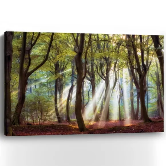 Kirkland's Home Canvas Art-Majestic Morning Giclee Canvas Art Print