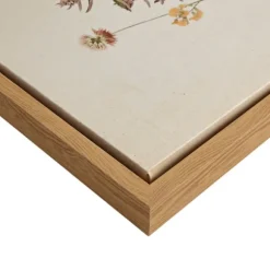Kirkland's Home Framed Art-Martha Stewart French Herbarium Framed Art Set