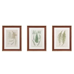 Kirkland's Home Framed Art-Martha Stewart Lady Fern Framed Art Print Set