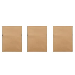 Kirkland's Home Framed Art-Martha Stewart Lady Fern Framed Art Print Set