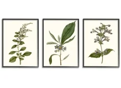 Kirkland's Home Framed Art-Minimal Soft Flowers Framed Art Prints, Set Of 3