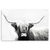 Kirkland's Home Canvas Art-Monochrome Longhorn Canvas Art Print, 60X40 In.