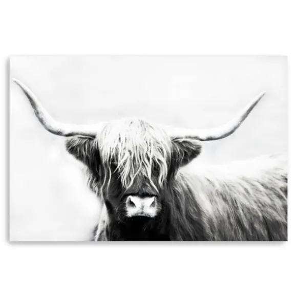 Kirkland's Home Canvas Art-Monochrome Longhorn Canvas Art Print, 60X40 In.