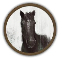 Kirkland's Home Framed Art-Moody Horse Round Brown Framed Art Print