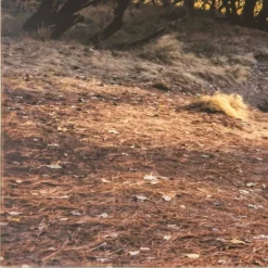 Kirkland's Home Framed Art-Morning In Paradise Glass Art Print