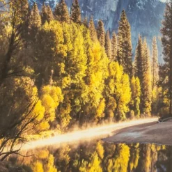 Kirkland's Home Framed Art-Morning In Paradise Glass Art Print