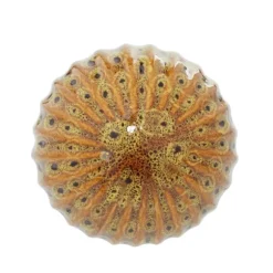 Kirkland's Home Bowl Filler-Natural Shades Ceramic 4-Pc. Orb Filler Set