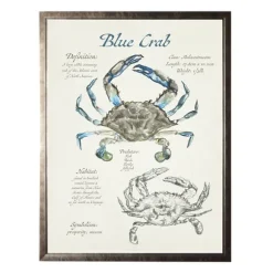 Kirkland's Home Framed Art-Nature Study Of A Blue Crab Framed Art Print