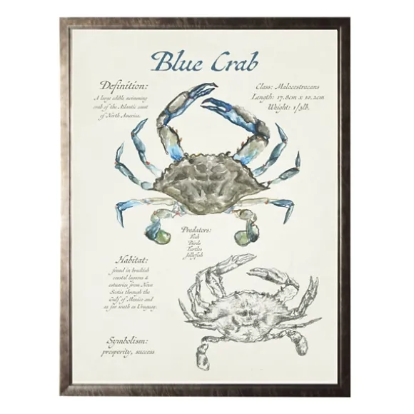 Kirkland's Home Framed Art-Nature Study Of A Blue Crab Framed Art Print