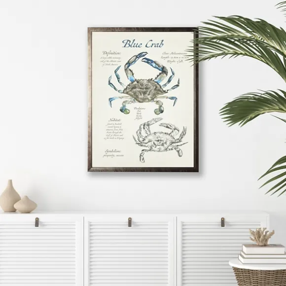 Kirkland's Home Framed Art-Nature Study Of A Blue Crab Framed Art Print