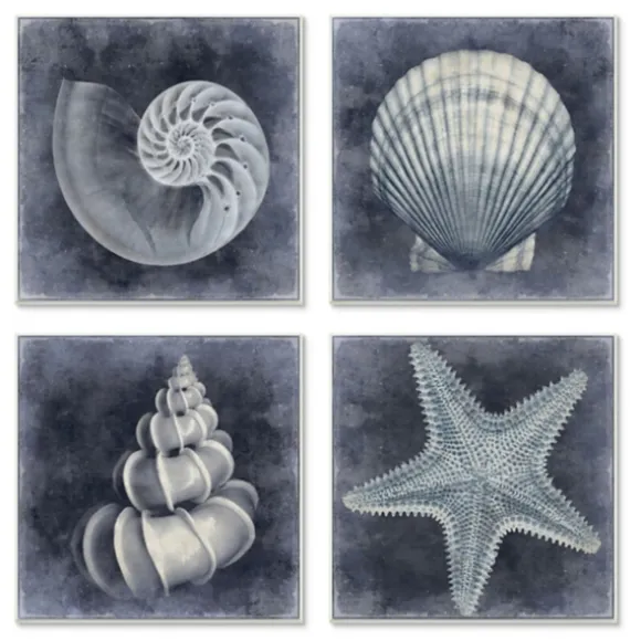 Kirkland's Home Framed Art-Nautical Seashells 4-Pc. Canvas Art Print Set