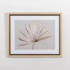 Kirkland's Home Framed Art-Neutral Dry Palm Leaf Framed Art Print