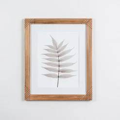 Kirkland's Home Framed Art-Neutral Fern Ii Framed Art Print