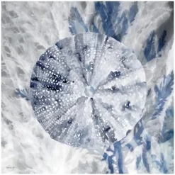 Kirkland's Home Canvas Art-Ocean Collection 2 Canvas Art Print