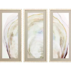 Kirkland's Home Framed Art-Oyster Shell 3-Pc. Framed Wall Art Set