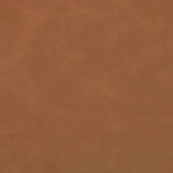 Kirkland's Home Dining Chairs-Reuben Sierra Butterscotch Dining Chair