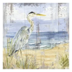 Kirkland's Home Canvas Art-Rustic Birds Of The Coast I Canvas Art Print