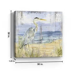 Kirkland's Home Canvas Art-Rustic Birds Of The Coast I Canvas Art Print