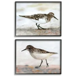 Kirkland's Home Framed Art-Sandpiper On Coast Framed 2Pc Canvas Art Print Set