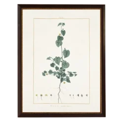 Kirkland's Home Framed Art-Sida Greenery Black Beaded Framed Art Print