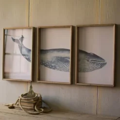 Kirkland's Home Framed Art-Triptych Whale Framed Art Prints, Set Of 3