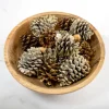 Kirkland's Home Bowl Filler-Vanilla Spice Pine Cone Potpourri