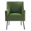 Kirkland's Home Accent Chairs-Velvet Upholstered Black Legs Accent Chair
